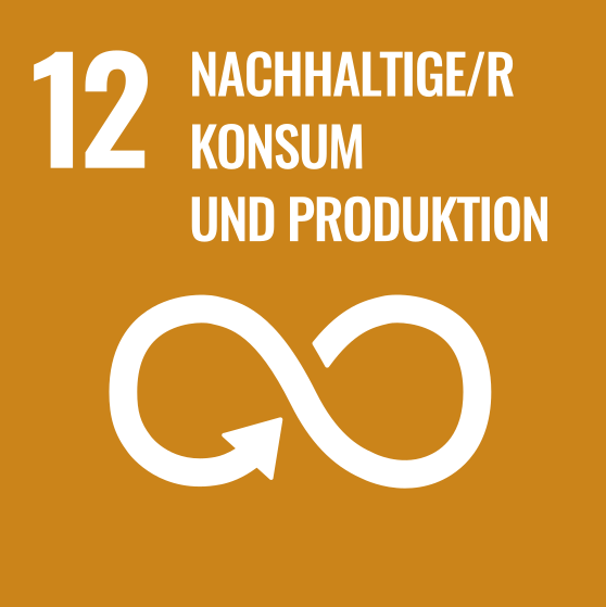 Grafik mit einem Pfeil, der ein in sich geschlossenes Band bildet, dazu der Text "12 Nachhaltiger Konsum und Produktion" 