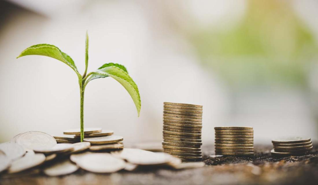 Pflanze wächst aus Münzen